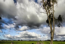 强队再现霸气，轻松取得胜利