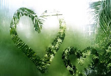 科尔多瓦客场爆冷击败轻奢麻加，实现劲爆赢