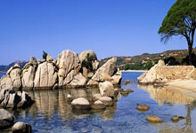 雷恩中后卫索尔索内扬表现抢眼，被寄予厚望